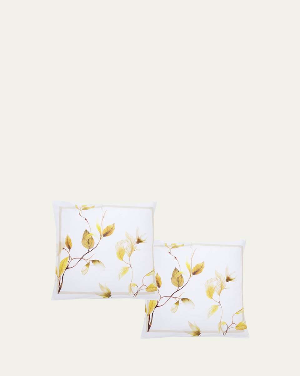 Japan 500-Thread Count Square Shams, Set of 2